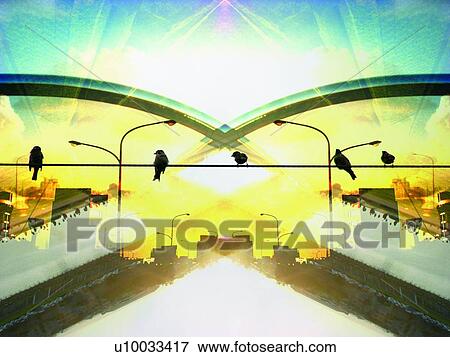 Stock Photo - Cable, Bird, Building Structure, Building Exterior, Bright, Avian. Fotosearch