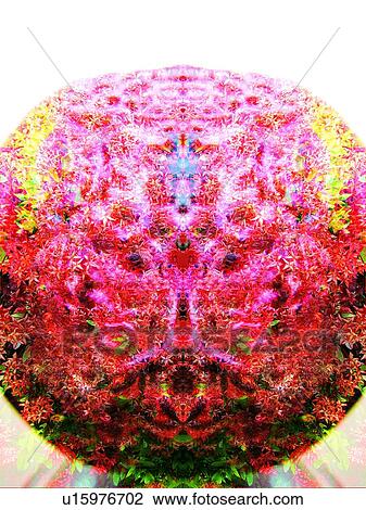 Stock Image - Day, Flower, Circular, Close-Up, Pink, Blossom. Fotosearch