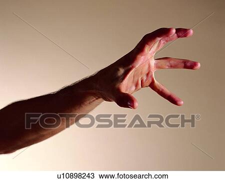 Physique, Colored Background, Human Finger, Gesture, Young Adult View Large Photo Image Stock Image - Physique, Colored Background, Human Finger, Gesture, Young Adult. Fotosearch