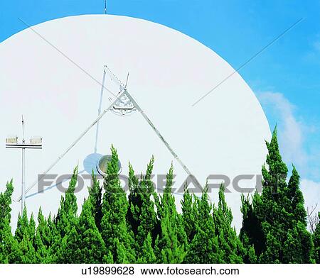 Stock Photo - Blue, Cloud, Coniferous Tree, Day, Device. Fotosearch
