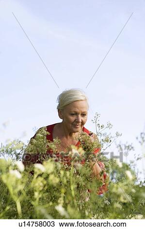Stock Image - Portrait of mature woman with flowers. Fotosearch