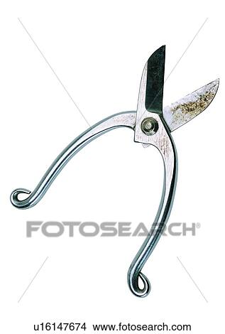 tool, hardware, DIY, scissors View Large Photo Image Picture - tool, hardware, DIY, scissors. Fotosearch