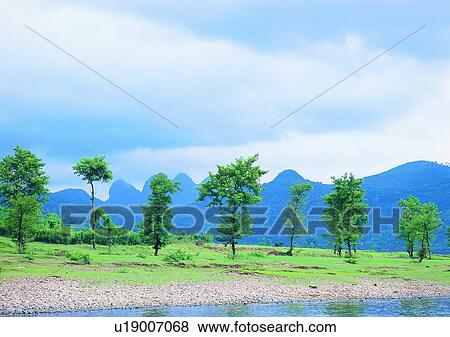 wood, leaf, grass, mountain, tree, plant View Large Photo Image Stock Photo - wood, leaf, grass, mountain, tree, plant. Fotosearch