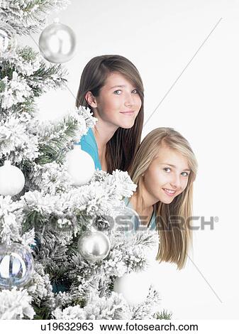 Girls behind a fir-tree, smiling View Large Photo Image Stock Image - Girls behind a fir-tree, smiling. Fotosearch