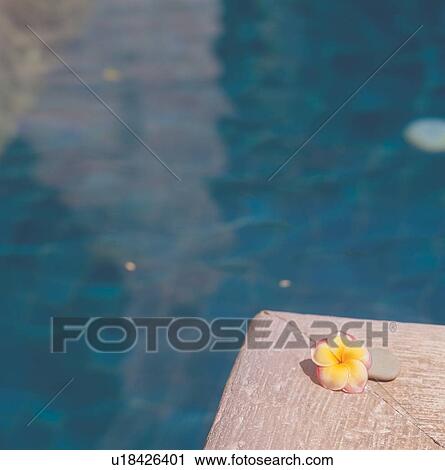 Stock Image - leisure activity, reflection, stone, therapeutic, relaxation, silence, idyllic. Fotosearch