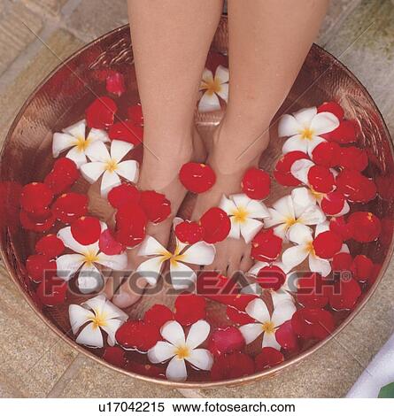 spa, idyllic, relaxation, pedicure, human legs View Large Photo Image Stock Photography - spa, idyllic, relaxation, pedicure, human legs. Fotosearch