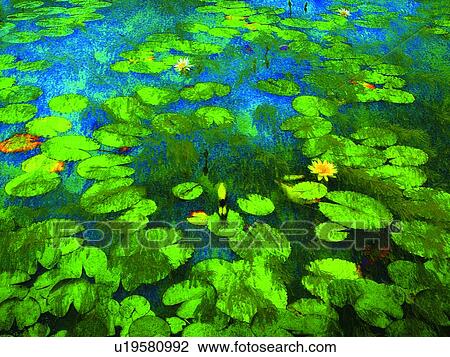 Blue, Dense, Day, Close-Up, Aroma View Large Photo Image Stock Image - Blue, Dense, Day, Close-Up, Aroma. Fotosearch