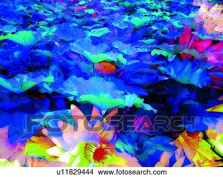 Bright, Leaf, Floating On Water, Pond, Plant, Nature View Large Photo Image Picture - Bright, Leaf, Floating On Water, Pond, Plant, Nature. Fotosearch