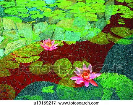 Stock Photo - Pond, Close-Up, Outdoor, Fragility, Plant. Fotosearch