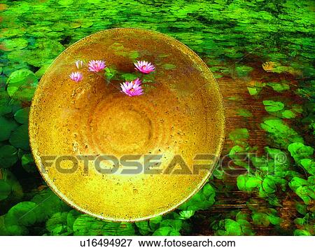 Vessel, Lily, Water Lily, Plant, Float View Large Photo Image Stock Photo - Vessel, Lily, Water Lily, Plant, Float. Fotosearch