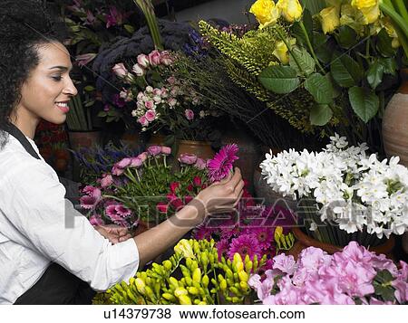 Young female florist selecting flower, smiling, profile View Large Photo Image Stock Photo - Young female florist selecting flower, smiling, profile. Fotosearch