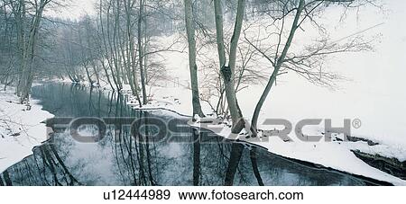 Bare Tree, Day, Generic Location, Landscape View Large Photo Image Stock Photo - Bare Tree, Day, Generic Location, Landscape. Fotosearch