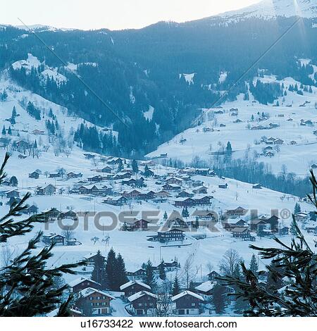 Stock Image - Branch, Building Exterior, Covering, Day, Dwelling. Fotosearch