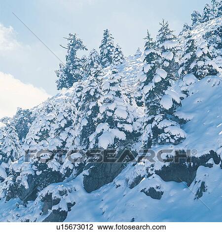 Covering, Day, Generic Location, Hill, Landscape View Large Photo Image Stock Image - Covering, Day, Generic Location, Hill, Landscape. Fotosearch