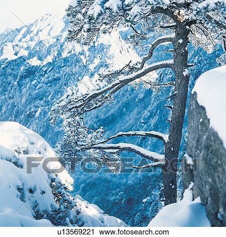 Stock Image - Day, Extreme Terrain, Frozen, Generic Location, Landscape. Fotosearch