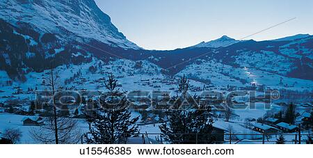 Stock Photography - Dusk, Evergreen Tree, Extreme Terrain, Frozen, Generic Location. Fotosearch