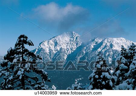 Frost, Winter, Treetop, Non-Urban Scene, Mountain View Large Photo Image Stock Photo - Frost, Winter, Treetop, Non-Urban Scene, Mountain. Fotosearch