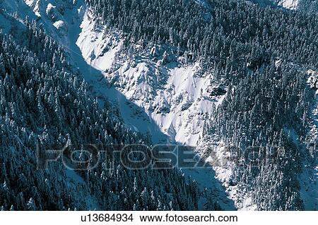 Non-Urban Scene, Natural Phenomenon, Nature, White World, Forest View Large Photo Image Picture - Non-Urban Scene, Natural Phenomenon, Nature, White World, Forest. Fotosearch