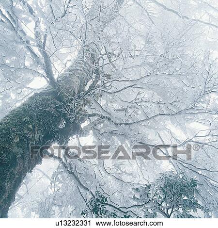 Non-Urban Scene, Scenics, Tranquil Scene, Landscape, Cold, Branch View Large Photo Image Stock Image - Non-Urban Scene, Scenics, Tranquil Scene, Landscape, Cold, Branch. Fotosearch