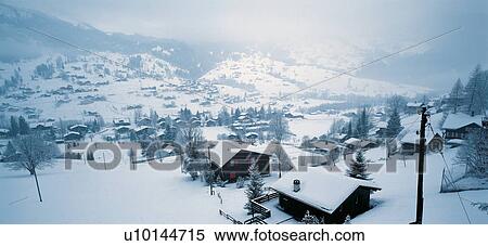 Pine Tree, Coniferous Tree, Covering, Dwelling, White View Large Photo Image Stock Photography - Pine Tree, Coniferous Tree, Covering, Dwelling, White. Fotosearch