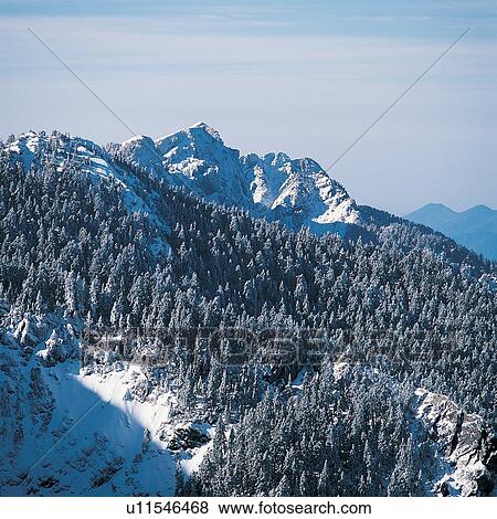 Stock Photo - Polar Landscape, Extreme Terrain, Aerial View, Tree, Mountain, Mountain Range. Fotosearch