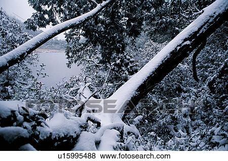 Snow, Close-Up, Scenics, Generic Location, Tranquil Scene, Part Of View Large Photo Image Stock Photo - Snow, Close-Up, Scenics, Generic Location, Tranquil Scene, Part Of. Fotosearch