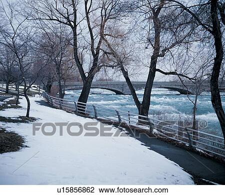 Stock Image - Snow, Polar Landscape, Day, Bare Tree. Fotosearch
