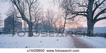 Stock Image - Street, Tree Trunk, House, Non-Urban Scene, White World, Polar Landscape, Bare Tree. Fotosearch