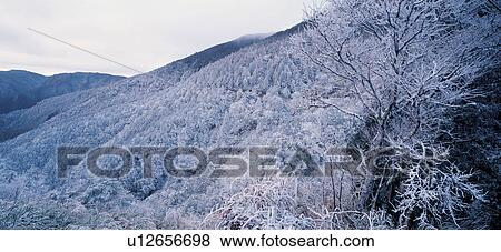 Tranquil Scene, White World, Generic Location, Day, Polar Landscape, Scenics, Nature View Large Photo Image Stock Photo - Tranquil Scene, White World, Generic Location, Day, Polar Landscape, Scenics, Nature. Fotosearch