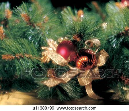 christmas, joyous, vibrant colors, mistletoe, ornate, pine tree View Large Photo Image Stock Photo - christmas, joyous, vibrant colors, mistletoe, ornate, pine tree. Fotosearch