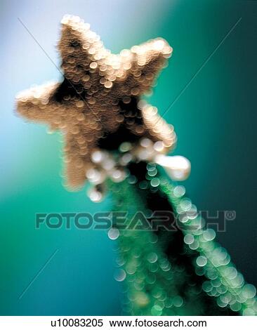 Stock Photography - event, yule, christmas ornament, vibrant colors, christmastide, ceremonial, ornate. Fotosearch