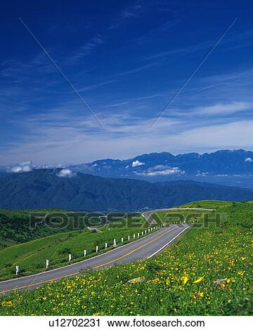 a Country Road Next to a Rape Blossom Field, High Angle View, Nagano Prefecture, Japan View Large Photo Image Stock Image - a Country Road Next to a Rape Blossom Field, High Angle View, Nagano Prefecture, Japan. Fotosearch