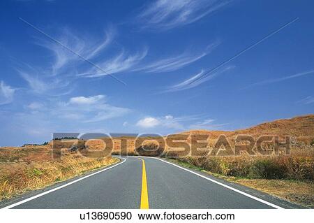 a Country Road, Surrounded By a Field of Dry Plants, Front View View Large Photo Image Stock Image - a Country Road, Surrounded By a Field of Dry Plants, Front View. Fotosearch