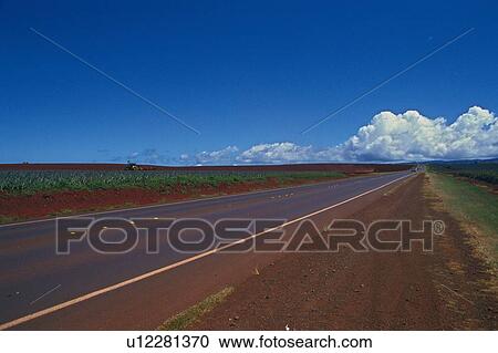 a Country Road, Surrounded By a Flat Land Under a Blue Sky, Side View View Large Photo Image Stock Image - a Country Road, Surrounded By a Flat Land Under a Blue Sky, Side View. Fotosearch
