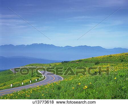 a Country Road, Surrounded By a Yellow-colored Flower Field and Several Mountains, High Angle View, Nagano Prefecture, Japan View Large Photo Image Stock Photo - a Country Road, Surrounded By a Yellow-colored Flower Field and Several Mountains, High Angle View, Nagano Prefecture, Japan. Fotosearch