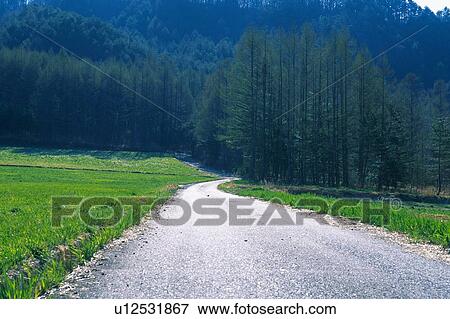 a Country Road, Surrounded By Flat Green Land and Some Woods, Front View View Large Photo Image Stock Photo - a Country Road, Surrounded By Flat Green Land and Some Woods, Front View. Fotosearch