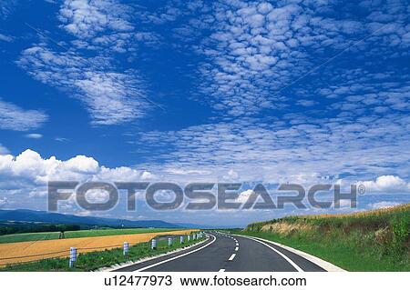 a Country Road, Surrounded By High Grasses and a Fence Under Some Fleecy Clouds, Front View View Large Photo Image Stock Image -  a Country Road, Surrounded By High Grasses and a Fence Under Some Fleecy Clouds, Front View. Fotosearch