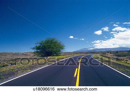 Stock Photograph -  a Country Road With a Single Tree Standing on the Side Under a Blue Sky, Front View. Fotosearch