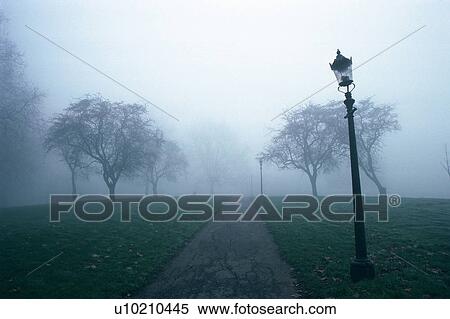 a Little Country Road, Surrounded By a Lot of Fog, Front View View Large Photo Image Stock Photography - a Little Country Road, Surrounded By a Lot of Fog, Front View. Fotosearch