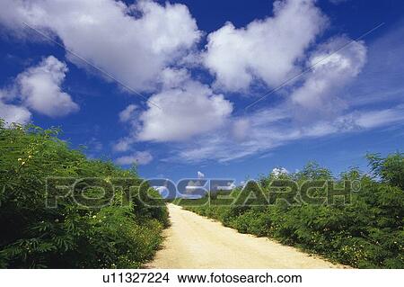 a Little Path With Some Green Bushes on the Side, Under a Blue Sky, Front View, Okinawa Prefecture, Japan View Large Photo Image Picture - a Little Path With Some Green Bushes on the Side, Under a Blue Sky, Front View, Okinawa Prefecture, Japan. Fotosearch