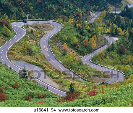 the Kusatsumanza Road, Surrounded By Several Autumn-colored Leaves and Grass, High Angle View, Gunma Prefecture, Japan View Large Photo Image Picture - the Kusatsumanza Road, Surrounded By Several Autumn-colored Leaves and Grass, High Angle View, Gunma Prefecture, Japan. Fotosearch