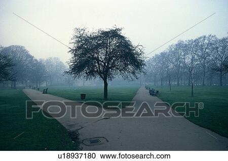 Two Country Roads and One Between Them, Surrounded By Fog, Front View View Large Photo Image Stock Image - Two Country Roads and One Between Them, Surrounded By Fog, Front View. Fotosearch