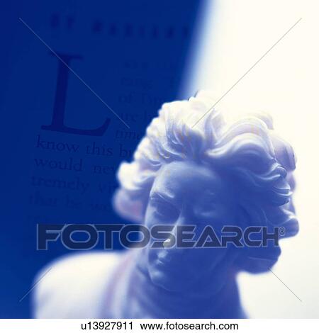Stock Image - Bust, close up. Fotosearch