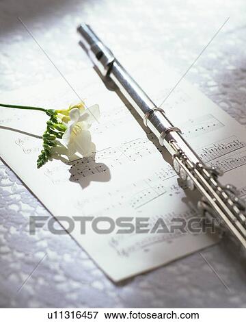 Stock Photo - Flute and flower. Fotosearch