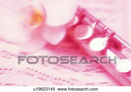 Flute and flower View Large Photo Image Stock Photography - Flute and flower. Fotosearch