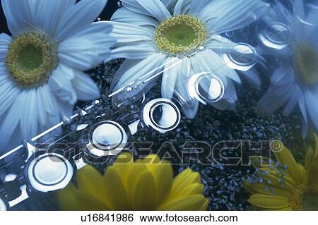 Stock Photograph - Flute and flowers. Fotosearch