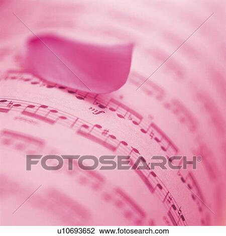 Stock Image - Petal and score. Fotosearch