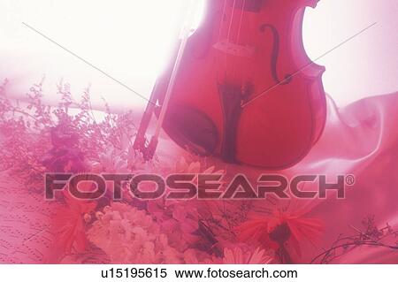 Stock Photography - Violin and bow. Fotosearch