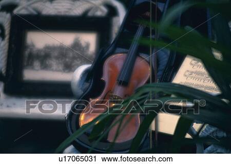 Stock Image - Violin on the case. Fotosearch