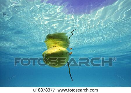 Stock Photo - Coconut floating on the sea. Fotosearch